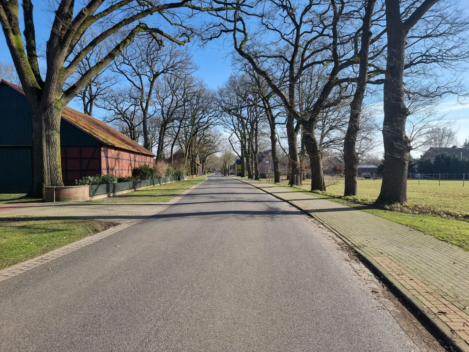 Dorfstraße in Helvesiek mit alten Eichen und einem Fachwerkgebäude